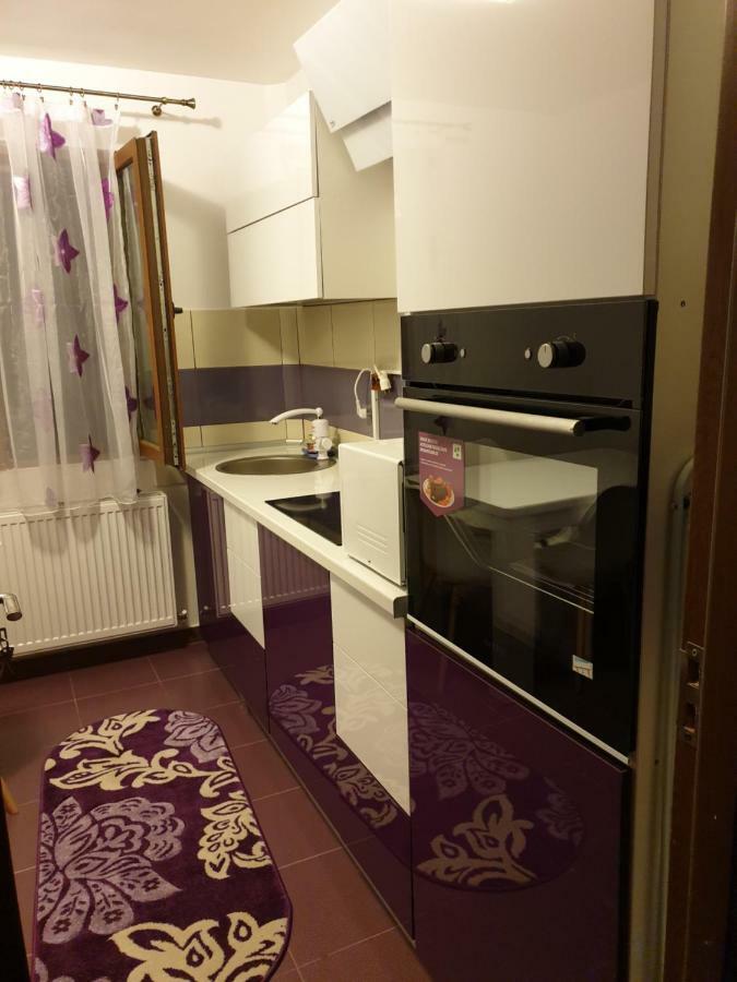 Apartament Oana'S Home Orşova エクステリア 写真